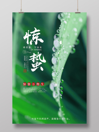 中国传统节日二十四节气惊蛰海报